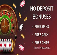 Canadian Casinos Online